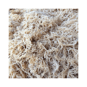 มอสทะเลอบแห้งผักอบแห้งสำหรับการบริโภคมอสทะเลธรรมชาติเค็ม - Product Image 2
