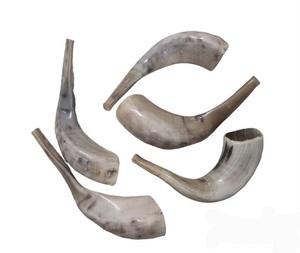 Shofars Artisanaux Modernes Écologiques Faits à la Main – Cornes de Buffle Polies Style Animal pour la Décoration Intérieure - Product Image 1