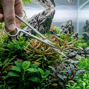 Tijeras para plantas acuáticas, tijeras para acuarios de 10 pulgadas, acero inoxidable, venta al por mayor de fábrica - Product Image 1