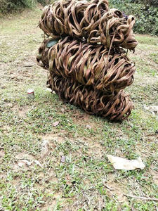 Lianes séchées pour la décoration de colonnes et de plafonds |   Cordon en bois torsadé naturel |   Esthétique rustique pour les intérieurs hôteliers - Product Image 4