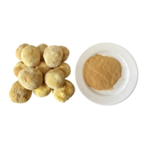 Boisson santé, extrait de champignon Lion's Mane en poudre, 30% de polysaccharides