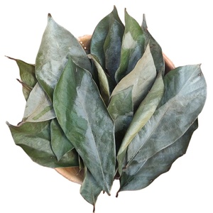 Té de Hoja de Guanábana Seca de Vietnam, Producto Herbal Natural - Product Image 5