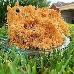 Vietnamese Wildcrafted Dried Sea Moss (Laver) Seasoned & <b>Roasted</b> <b>Bag</b> Packaging-Pure Vietnamese Goodness [Liam +84 865 912 655] - Product Image 3