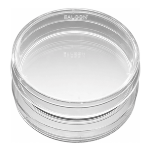 Plaques de culture Corning BioCoat Collagen I 60 mm PS pour l'adhérence cellulaire et la culture à faible teneur en sérum - Product Image 2
