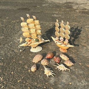 Seashell Decoration polished shell arrangement,table centerpiece Vietnam craft maker - Product Image 4