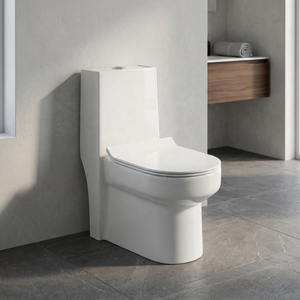 Inodoro de cerámica de una pieza, directo de fábrica, sanitario moderno con sistema sifónico, precio en India. - Product Image 3