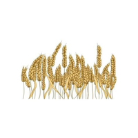 Cebada para Alimentación Animal, Natural, Orgánica, de Primera Calidad, en Bolsas de 50 Kg, Semillas de Cebada, Grano de Cereal