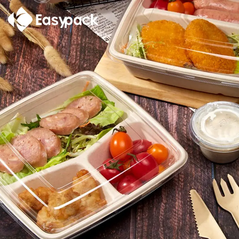 32oz Disposable Food Packaging Biodegradable Food Takeaway Box