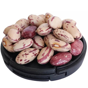 Light Speckled Kidney <b>beans</b> sugar <b>beans</b> pinto <b>beans</b> for sale - Product Image 6