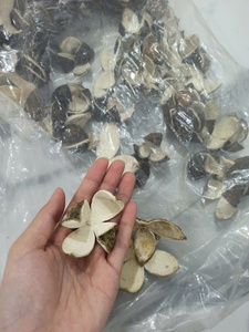 Dried Orange natural citrus slices for tea blending and cocktail garnish, dehydrated material from Vietnam for bakery decoration - Product Image 3