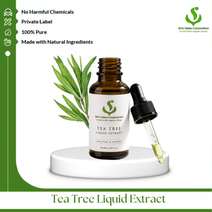 Export Quality Tea Tree Liquid <b>Extract</b> Designed for Personal Care Brands Private Label Production and Wholesale Supply - Product Image 1