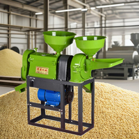 Fraiseuse à grains multifonctionnelle Portable de haute qualité capacité 200 kg/h Offre Spéciale combinaison riz fraiseuse maison