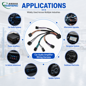 Faisceau de câblage automobile personnalisé pour câbles de radio de voiture amplifiés, isolation en PVC, conducteurs en cuivre, indice de protection IP68, 110V/12V pour Android - Product Image 2