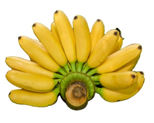 Popular Indian Vegetable Crop Frozen Banana