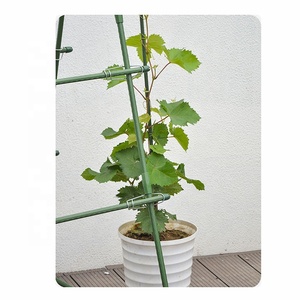 โครงเหล็กทรงเอสำหรับปลูกสควอชและแตงกวา - Product Image 1