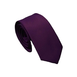 Men Women Simple <b>Clip</b> <b>on</b> <b>Tie</b> Uniform Plain Solid Color Pre-Tied Party Necktie - Product Image 4