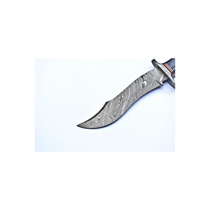 Couteau de chasse en acier Damas haut de gamme, très demandé, avec manche en bois bleu, lame fixe, pour le camping et la survie en extérieur - Product Image 3