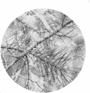 Clothing Manufacturer Hunting Camo Hoodie Custom Streetwear Hoddie All Over Digital Tree Printed Camouflage Hoodie Men - Product Image 3