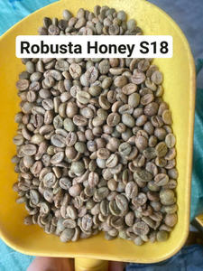 [Standard d'exportation] Grains de café vert Robusta 100% naturels de nouvelle récolte 25-26 de haute qualité, entièrement lavés, du Vietnam - Product Image 6