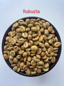 Grains de café vert Robusta de haute qualité, certifiés, de première qualité, équitablement commercialisés, propres, secs et transformés, Gia Lai Vietnam S18, sac de 60 kg - Product Image 2