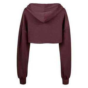 Sudaderas cortas con capucha para mujer, color gris, de forro polar, estilo casual, sudaderas cortas con capucha hechas con forro polar. - Product Image 1