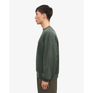 Sweat-shirt à col rond surdimensionné pour homme, couleur unie, style minimaliste, coupe classique, tissu en molleton 100% coton, sweat-shirt pour l'automne - Product Image 3
