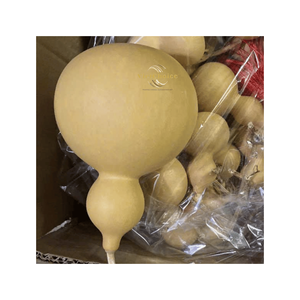 Botella Tallada Ecológica, Recuerdo DIY, Regalo Empresarial Duradero, Artesanía de Calabaza Seca Natural Orgánica Vietchoice para Decoración - Product Image 1