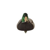 Décoys de chasse motorisés flottants en mousse EVA plastique grand format, personnalisés, en gros, en forme de canard colvert réaliste