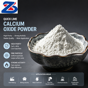 Oxyde de calcium de qualité industrielle, poudre de chaux vive pour le traitement de l'eau et le traitement des boues - Marque Zhongsheng - Product Image 1