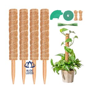 Expédition rapide : Poteau en fibre de coco Blue Lotus Modern Coir Moss Pole, finition soignée, accessoires de jardinage, ajout esthétique et aromatique, art pour espace convivial - Product Image 1