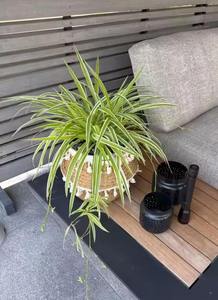 Cesta Decorativa de Mimbre con Detalles Superiores de Macramé Blanco, Perfecta para Almacenamiento en el Armario de Lavandería, Juguetes y Organización de Habitaciones - Product Image 3