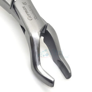 Pinzas de Extracción Dental de Acero Inoxidable al Mejor Precio, Manuales, Certificadas por la CE, Reutilizables de Alta Calidad - Product Image 6