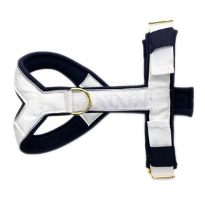 Arnés Reflectante para Perro con Correa Ajustable y Soporte de Pecho Acolchado Suave para Paseos Nocturnos, Entrenamiento y Actividades al Aire Libre - Product Image 6