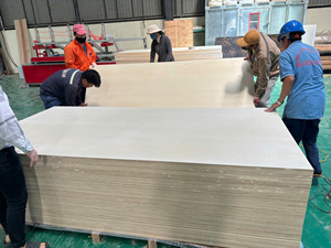 Planches de peuplier pressées à chaud, design moderne, double épaisseur avec âme en acacia, épaisseurs 12mm-15mm-18mm-21mm, E0 sans formaldéhyde - Product Image 5