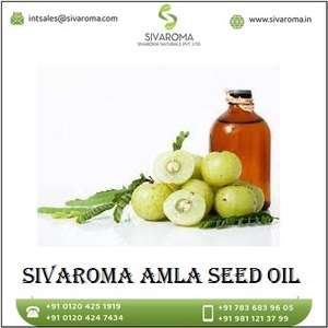 Best-Quality Cold Pressed Amla Seed Oil-Wholesale Private Label <b>Packaging</b> Available 100% Pure Natural Oil for Hair Care Cosmetic - Product Image 6