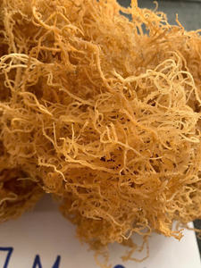 Eucheuma cottonii มอสทะเลไอริชจากเวียดนามพร้อมบรรจุภัณฑ์ OEM - Product Image 4