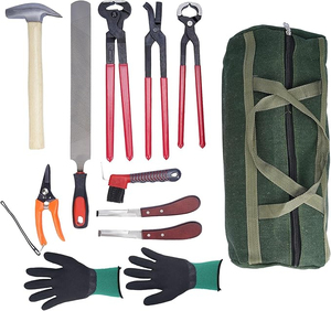 Kit d'outils vétérinaires équin professionnel réutilisable pour fermeur de chevaux : coupe-ongles, pince à crins, cisaille, marteau, couteau, râpe - Product Image 4