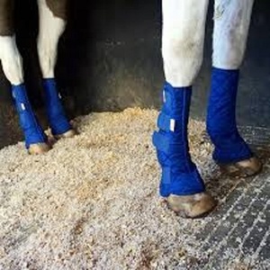 Bottes de protection pour chevaux de qualité supérieure, couleur unie, tissu respirant en maille, protection des jambes, entraînement équestre, durables, légères - Product Image 2