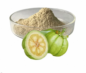Extracto de Garcinia Cambogia en Polvo de Primera Calidad, 50%-60% HCA, Grado Alimenticio, a Granel, Suministro de la India - Product Image 2