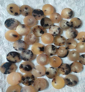 กระดุมเปล่าทำจากเขาควาย/วัวแท้ 100% คุณภาพพรีเมียม สีธรรมชาติ ขนาด 5 มม.-5.50 มม. เป็นมิตรกับสิ่งแวดล้อม งานฝีมือทำมือ ทนทานเหนือกาลเวลา - Product Image 1