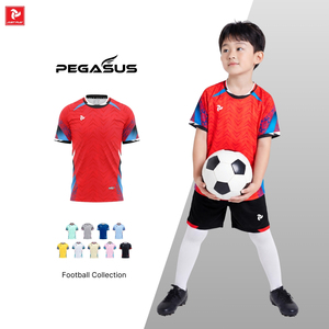 เสื้อฟุตบอลสั่งทำพิเศษ แห้งเร็ว ระบายอากาศได้ดี สำหรับผู้ชาย ผู้หญิง เด็ก ชุดทีม OEM ODM หลายสี ลายเพกาซัส - Product Image 6