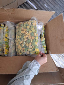 Avocat surgelé IQF entier/en tranches/en dés/en morceaux/en moitiés, emballage sous vide, durée de conservation de 24 mois, 1 kg, export Vietnam, marque KMI - Product Image 4