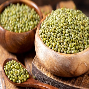 Vente en gros de haricots mungo verts de qualité supérieure 100% - Marque personnalisée - Durée de conservation de 2 ans - Stockage à l'abri de la chaleur et de l'humidité - Prix avantageux - En promotion - Product Image 3
