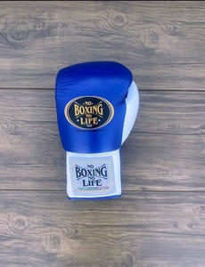Guantes de Boxeo Premium No Boxing No Life, Protector de Cabeza y Protector Inguinal, OEM Disponible, Kit de Sparring para Luchadores, Gimnasios y Venta al Por Mayor - Product Image 3