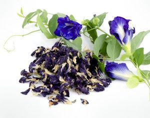 Té Herbal Desintoxicante de Flor de Mariposa al por Mayor, Superalimento Antioxidante, Ingrediente para el Bienestar - Product Image 6