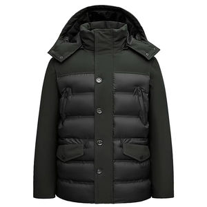 Veste d'hiver pour homme en duvet matelassé à capuche, col montant, coupe-vent épaisse, décontractée, longueur normale, noire, 100% polyester - Product Image 1
