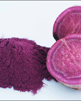 POUDRE D'UBE PREMIUM – COULEUR NATURELLE, TEXTURE FINE, DISPONIBILITÉ EN GRANDS VOLUMES