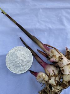 แป้งรากชิงชันธรรมชาติคุณภาพสูงราคาถูก ผลิตในเวียดนาม - Product Image 5