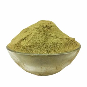 OEM Bhringraj Powder 100% Pure & Natural Eclipta Alba Powder Ayurvedic Herbal Powder for Supports Hair Care & Scalp Nourishment - Product Image 1