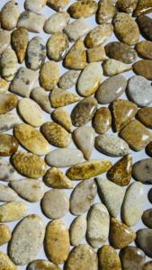 Piedras Preciosas Naturales 100% Sueltas, Coral Curativo, Forma Mixta, Tamaño Personalizado, Alta Calidad, Certificadas por Terceros, Trimurti Gems, Joyería de Rajasthan - Product Image 4